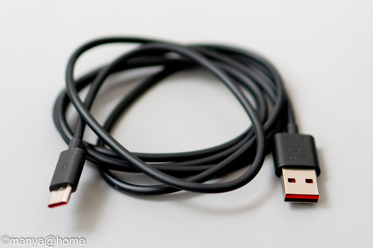 JBL FLIP6 付属USB-C to USB-A